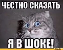 Ох, не смешите меня такими ценами. Да и зверьков жалко.