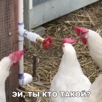 Картинки с надписями для настроения