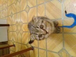 Наша!