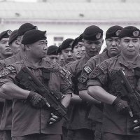 Зачем Монголии авиация? Там такие бойцы, всех руками порвут и затопчут.