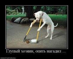 Собачники - одни из самых опасных, и тем не менее смешных представителей человека