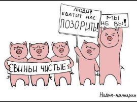 Собачники - одни из самых опасных, и тем не менее смешных представителей человека
