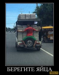 Жлобы, сэкономившие на профессиональных грузчиках