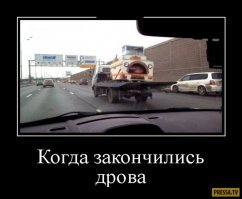 Жлобы, сэкономившие на профессиональных грузчиках