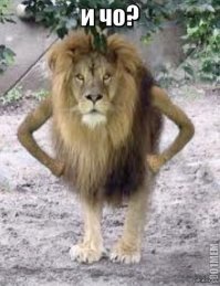 Высчитана страна с идеальным для туристов паспортом