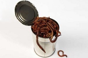 Максиму на что консервная банка может сгодиться!