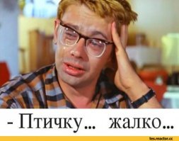 Не взлетел. Запуск голубей на "последнем звонке" закончился гибелью птицы: видео