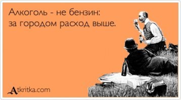 Пауки под воздействием наркотиков