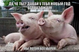 Что оставил после себя ужасный квартирант