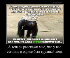 Картинки с надписями для настроения