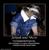 Где найти дракона и потомка воеводы?