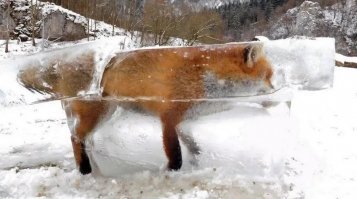 Тонкий лед - это опасно !