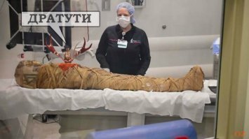 Врачи обнаружили у египетской мумии рак через 2000 лет после смерти