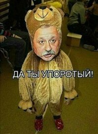 Пауки под воздействием наркотиков