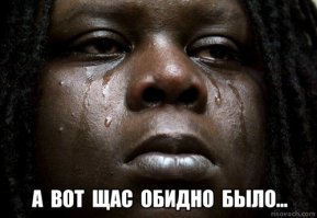 История превращения истощённого существа с переломанным хвостом в добродушного пса