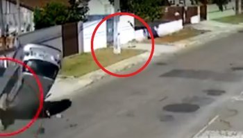 А у Тузика резкотуха будь здоров - подорвал только так!