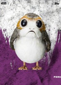 А мне вот это в костюме представилось..есть фотошоп-художники может быть?