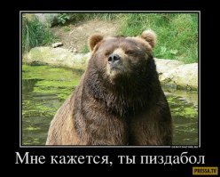 Молния угодила прямо в автобус с пассажирами: видео 