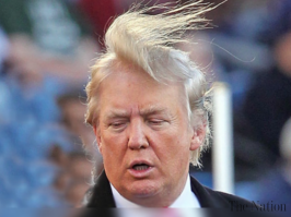 А этого красавца чего забыли?