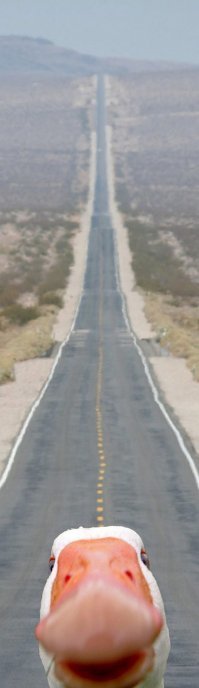 Фотоподборка за 28.05.2018