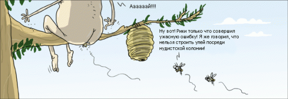 Простая и эффективная ловушка для мух, ос, комаров