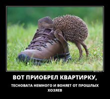 Оставил ботинки на даче