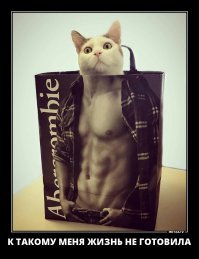 Фотоподборка за 28.05.2018