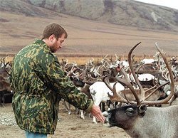А так как у чукчей не было вождей, договориться с ними было просто нереально. Лидерская позиция семейных кланов не уходила дальше стойбища. 

Теперь вождь есть ...