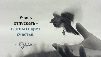 Высказывания и афоризмы о жизни