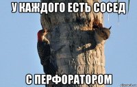 Дятел терроризирует жильцов  дома