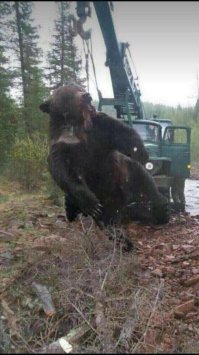 Вот ещё