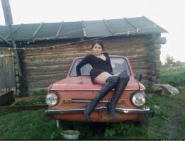 Помидорные королевы, или прекрасные дачные виды