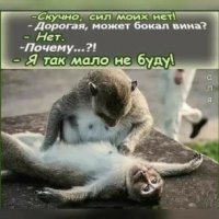 Ученые нашли еще одно полезное свойство красного вина