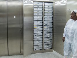 настоящие факты, привезенные экспедициями  Аполлонов , и образцы, полученные советскими автоматическими станциями  Луна  (16,20,24) может взять во временное пользование по запросу даже такой проплаченный прихвостень как ты.
о чём и пишет космонавт-испытатель отряда космонавтов Роскосмоса Сергей Кудь-Сверчков.
хранилище лунного грунта, расположенное на территории Космического Центра им. Джонсона. запрос на получение лунного грунта можешь оставить тут: