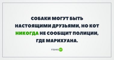 Ну как-то так...