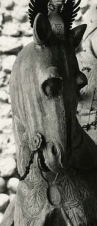 да и конь у него ещё тот весельчак.