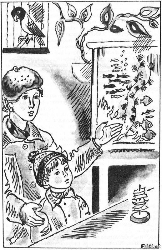 Подарили в детстве вот это издание с замечательными иллюстрациями Елены Лось. Позднее книга куда-то уплыла, еле-еле нашёл такую же:)