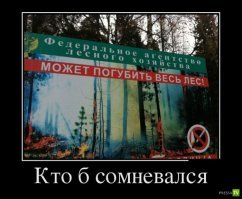 Социальная реклама, которую действительно стоит увидеть
