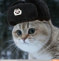 Та пипец! 
Ты еще блин песню сюда приклей исчо про
 "мама подарила мне вязаный жилет" 
:)
Кто мыслит - тот поймет