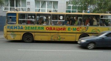 Приколы в маршрутках