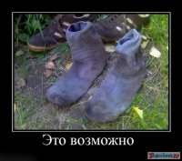 Тысячи пользователей следят за судьбой грязных носков в Белом доме