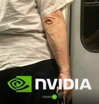 Большой брат следит за тобой