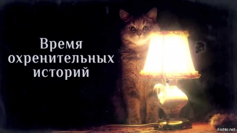 Кота с лампой не хватает!