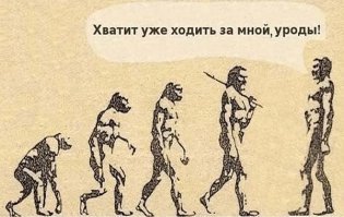 Опровергнута самая популярная теория эволюции
