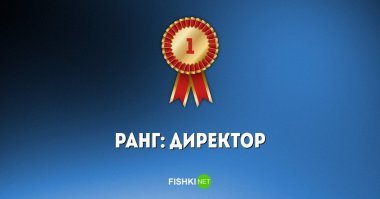 Нетривиальный тест на знание современных профессий
