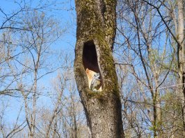 Старая Русса