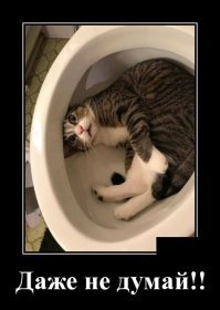 На нет и суда нет.
.