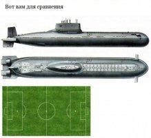 Внутренности наружу: обычные вещи - необычный ракурс
