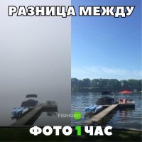 Зонтики разгоняют туман! Я все правильно понял?