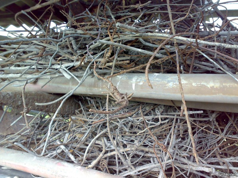 На химкомбинате. Воронье гнездо на эстакаде из проволоки, проводов, электродов и колючей проволоки, всё обмазано известью. Фотал я.